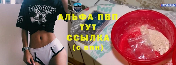 spice Беломорск