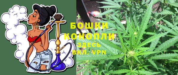 гашик Белоозёрский