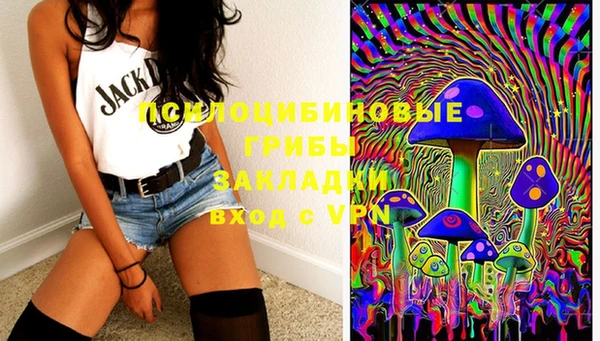 гашик Белоозёрский
